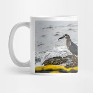 Black-crowned night heron 5 Mug